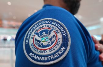 Top airline CEOs plead with Congress to restore DHS funding and pay airport workers